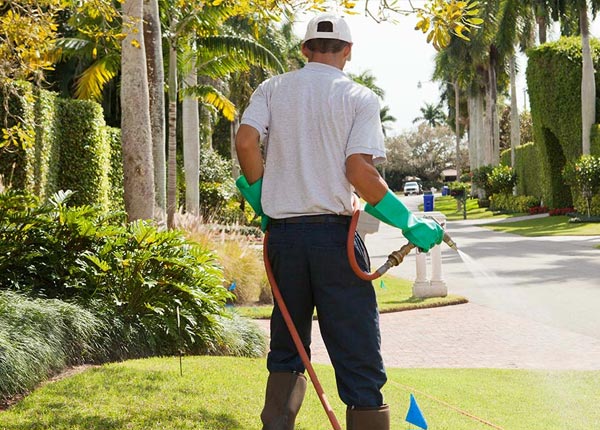 About Beckwourth CA Pest Control